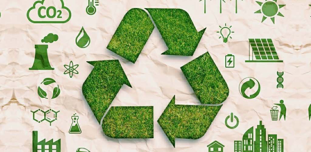 Top Sustainable Fashion Brands Leading the Way